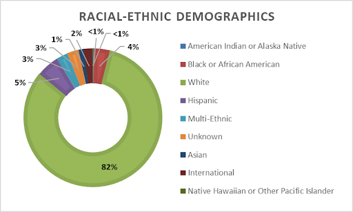 Circle chart illustrating graduate students ethnic makeup, explained in text.