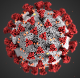 coronavirus