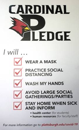cardinal pledge