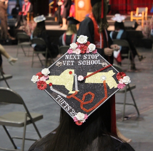 next stop vet school