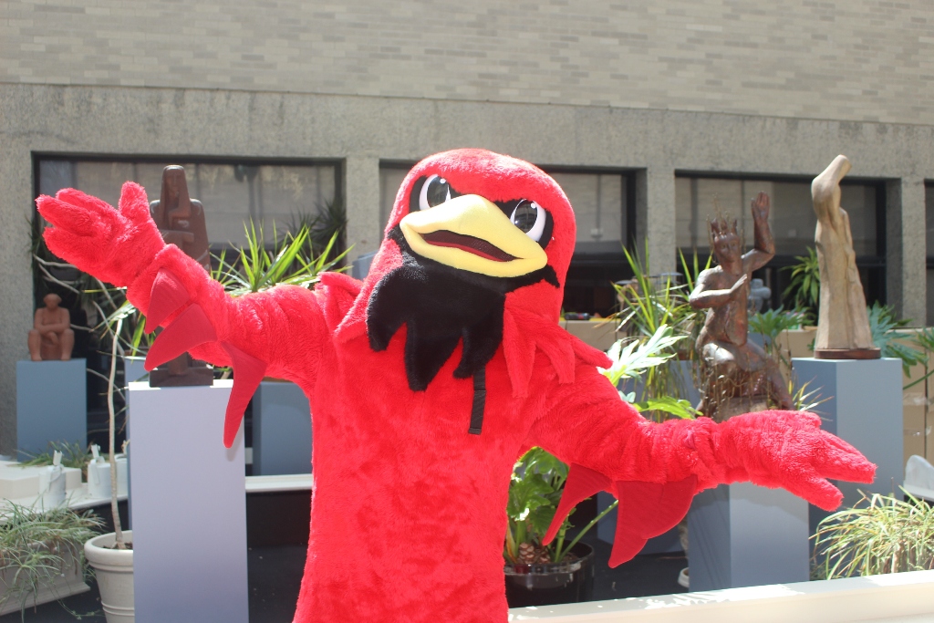 burghy for summer orientation 2021