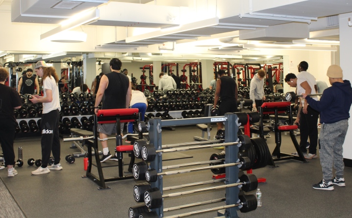 free weight area