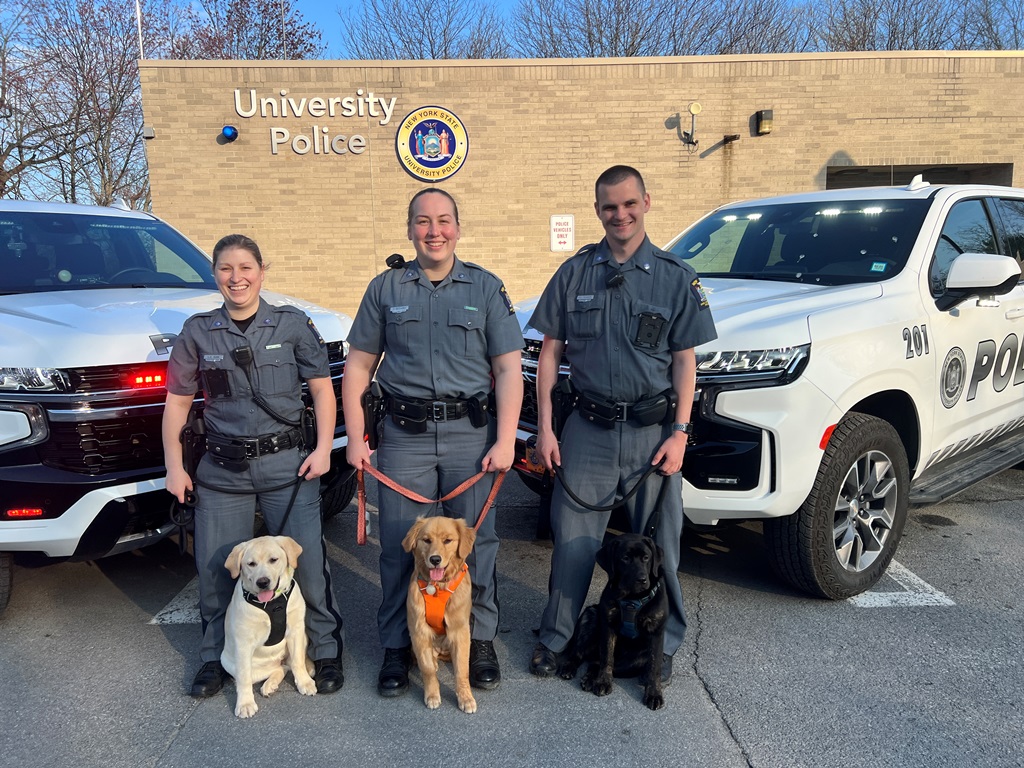 dogs and handlers