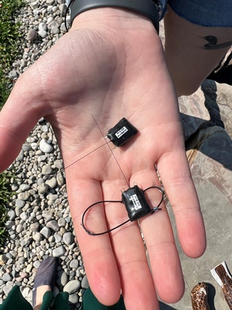 gps in palm