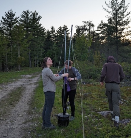 setting up nets