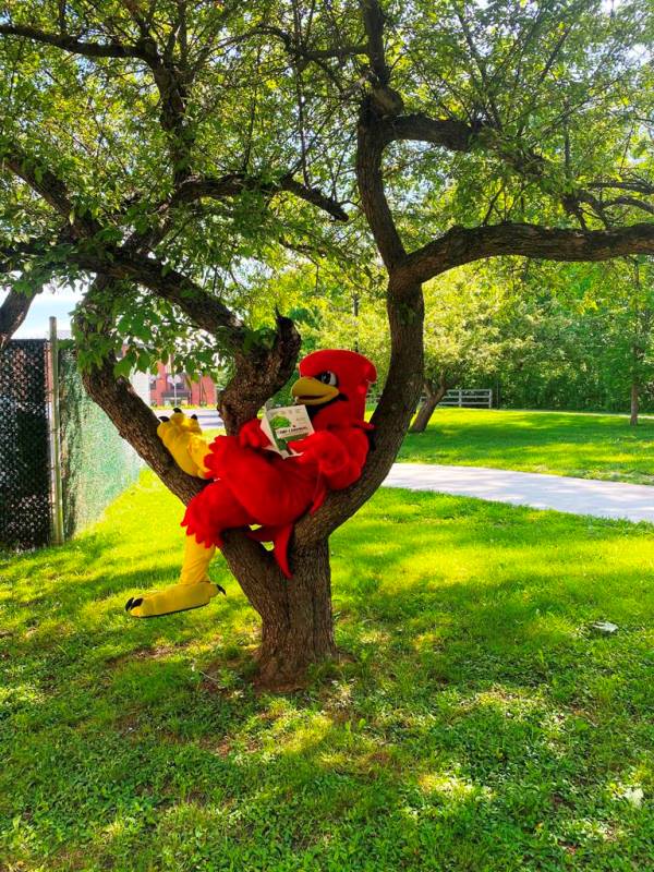 camp cardinal with burghy